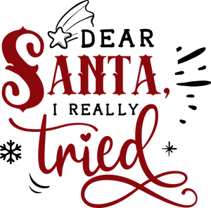 Funny Christmas T-shirt Youth, Dear Santa I really Tried